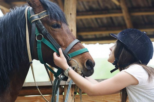 Smernice za pravilno oskrbo konjev
